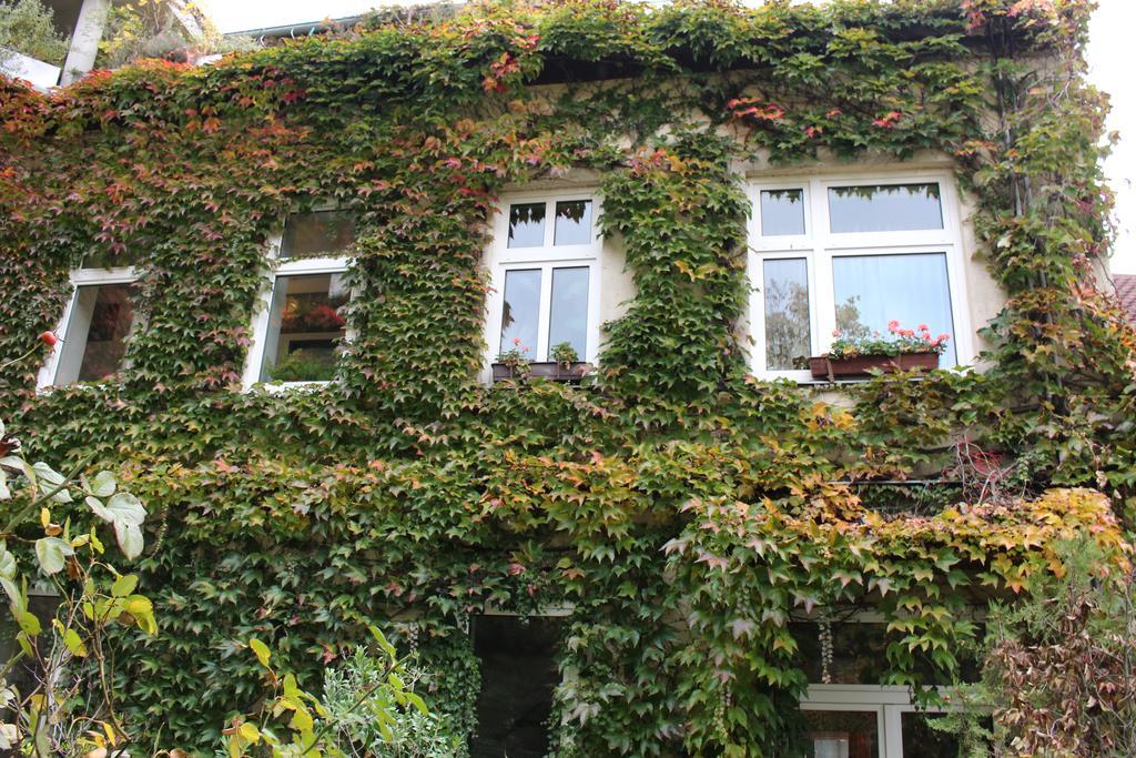 Hotel Wiener Kindl Eksteriør bilde